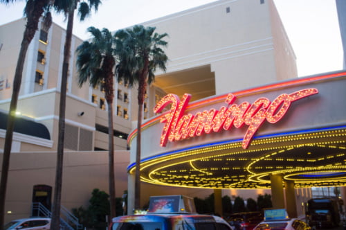 Hotel Flamingo